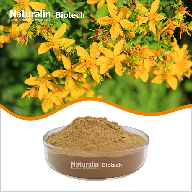 St John'S Wort Extract Powder
